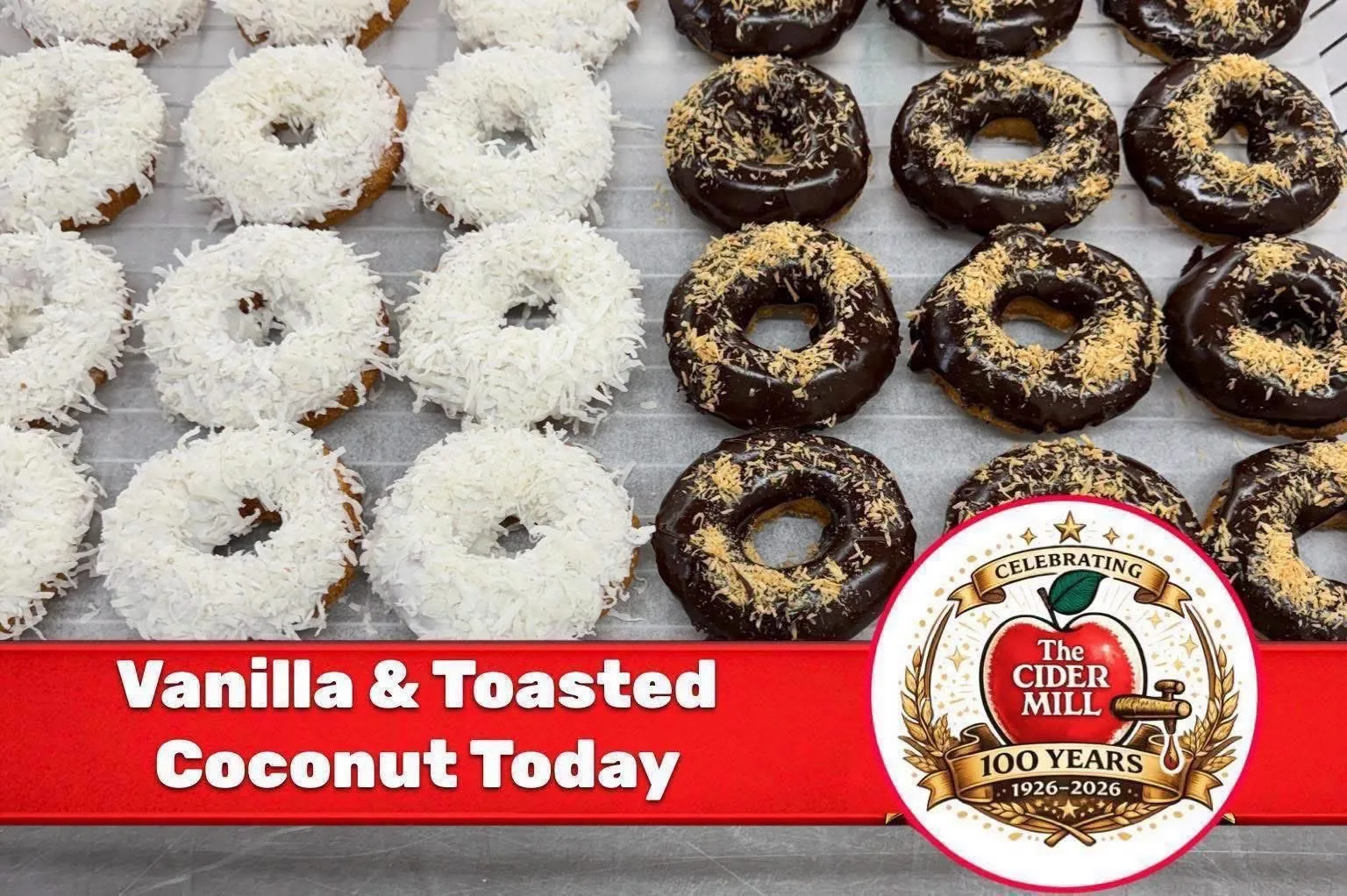 Toasted and Vanilla coconut