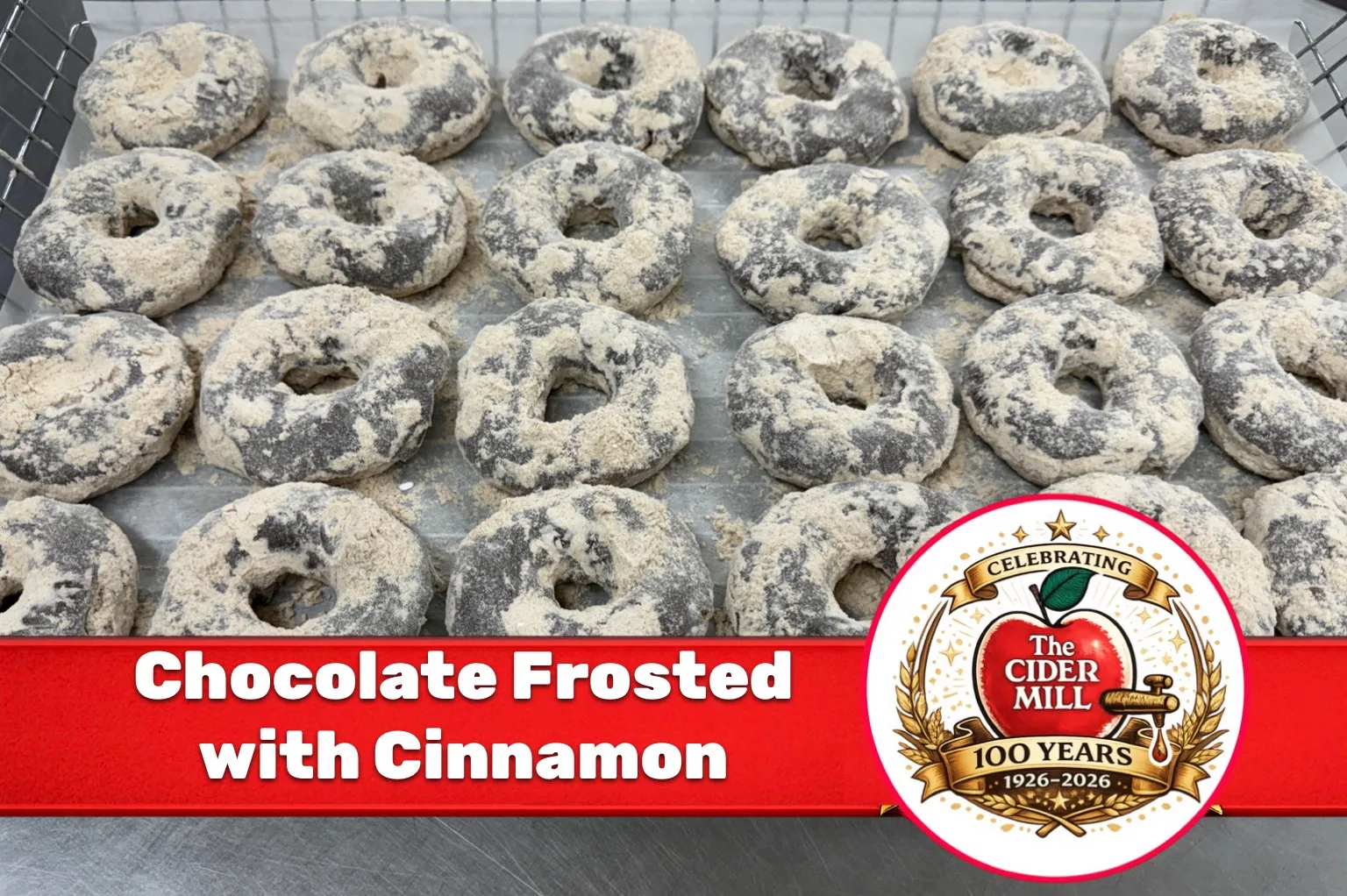 Chocolate Frosted With Cinnamon