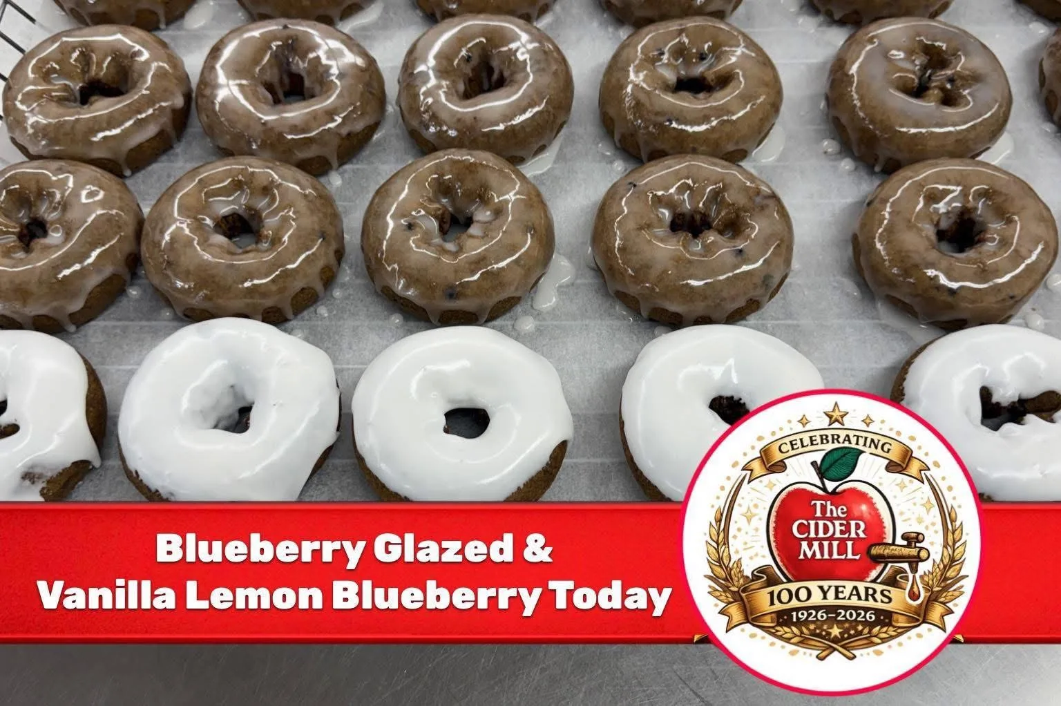 Vanilla Lemon & Blueberry Glazed