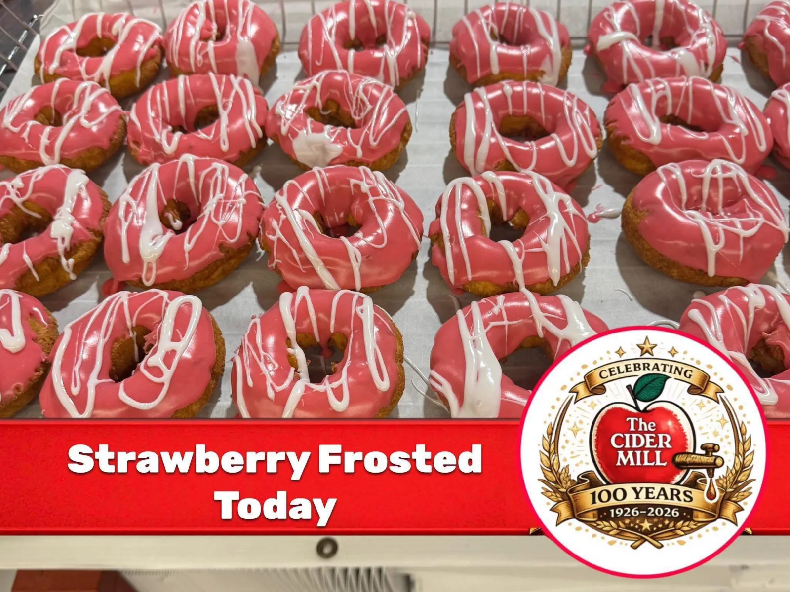 Strawberry Frosted
