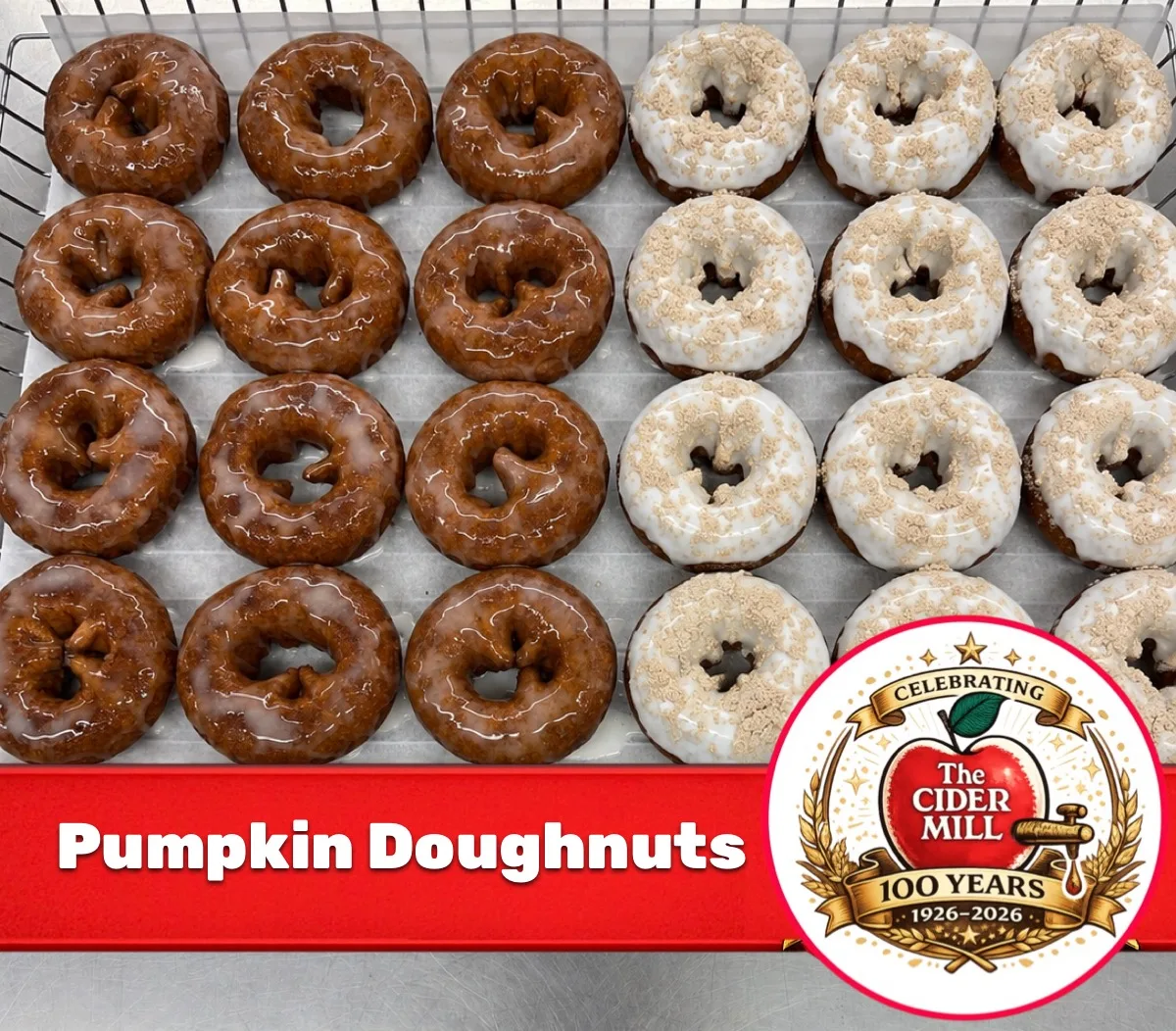 Pumpkin Doughnuts